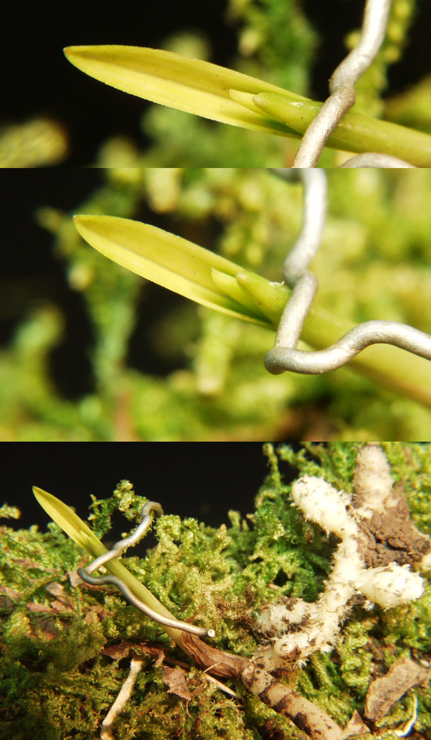 ������ ū������ �� �� �ֽ��ϴ�.