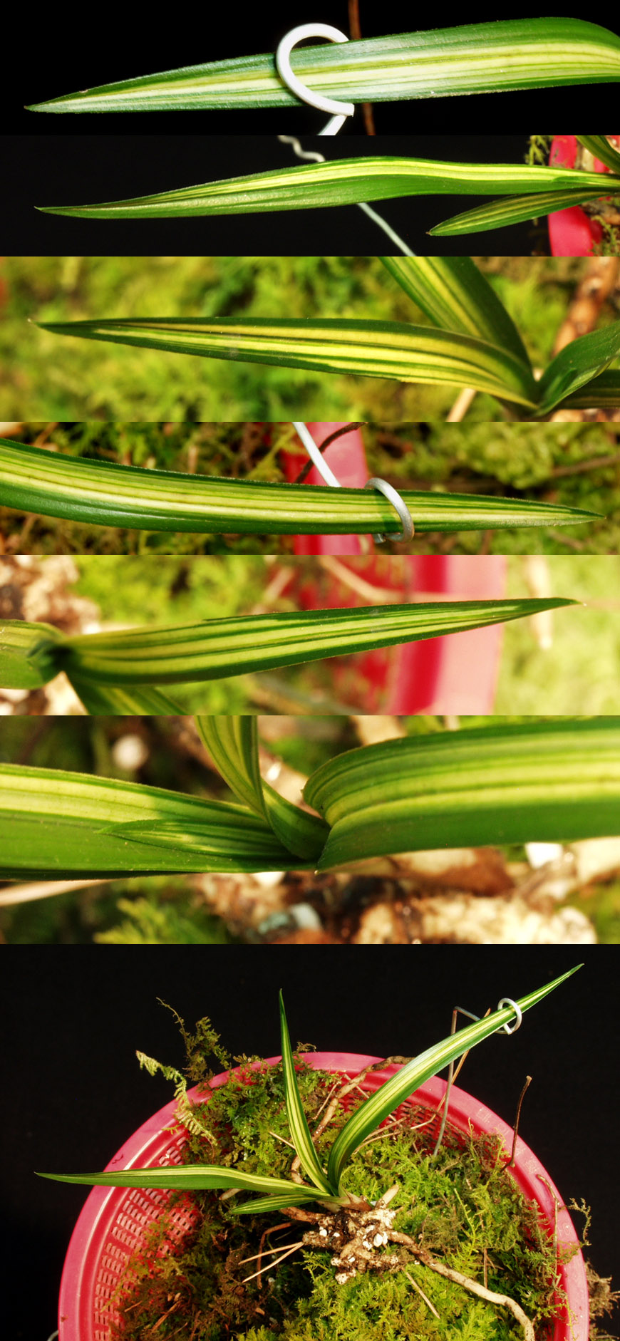 ������ ū������ �� �� �ֽ��ϴ�.