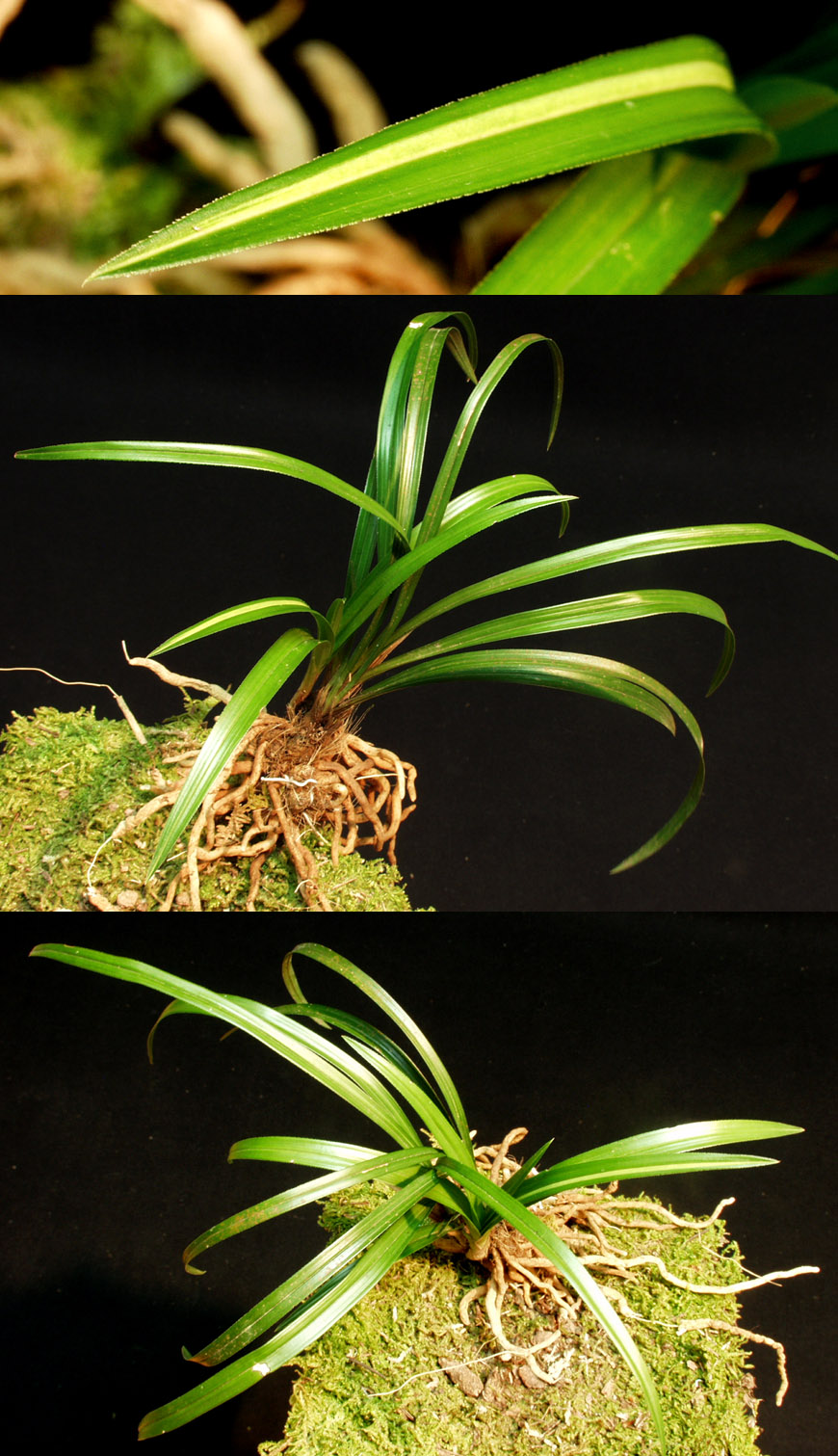 ������ ū������ �� �� �ֽ��ϴ�.