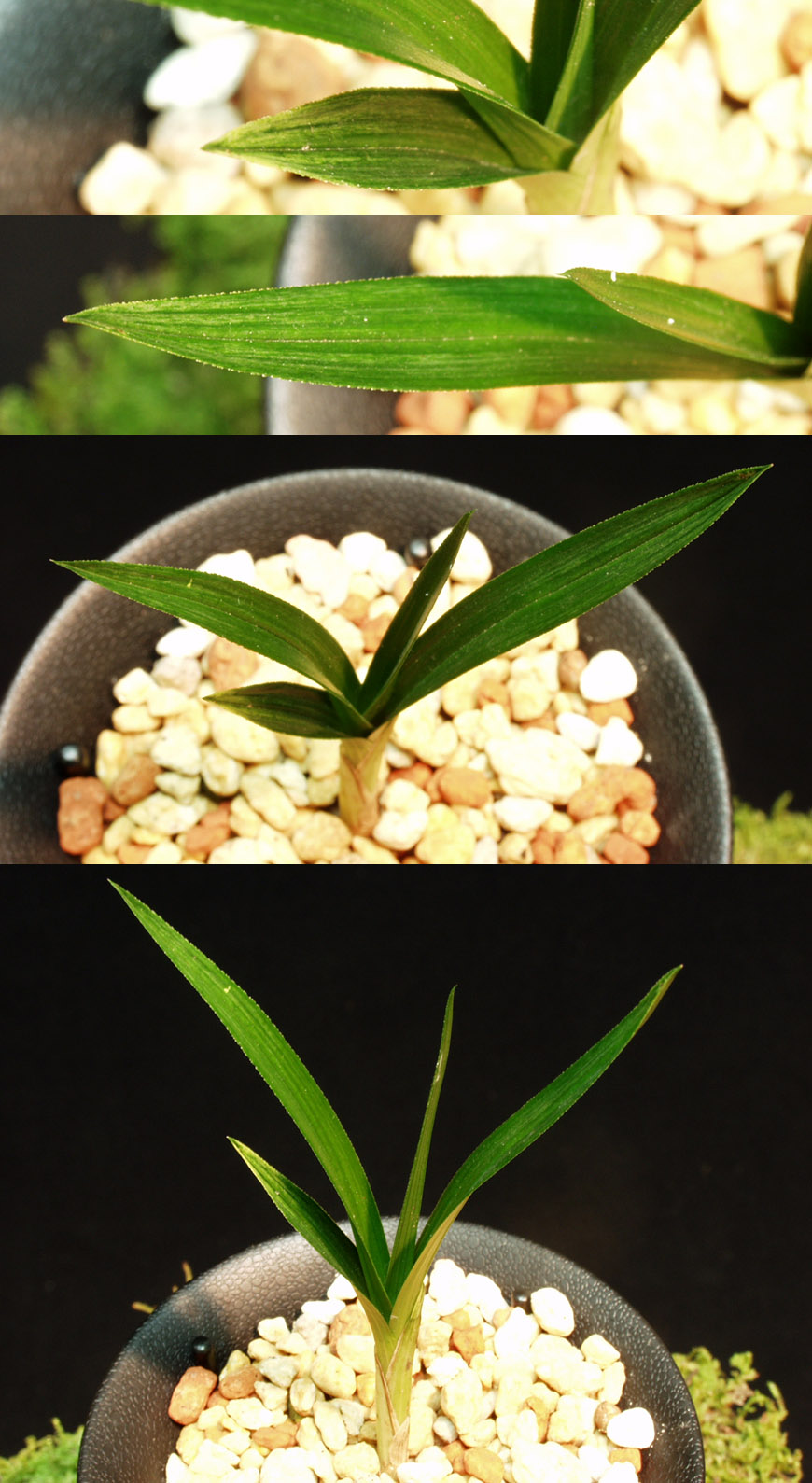 ������ ū������ �� �� �ֽ��ϴ�.