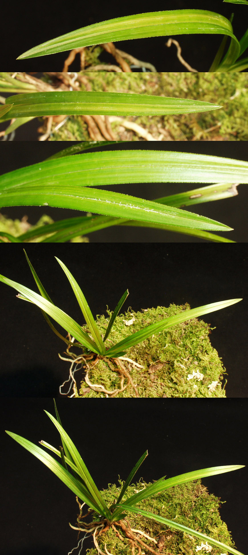 ������ ū������ �� �� �ֽ��ϴ�.