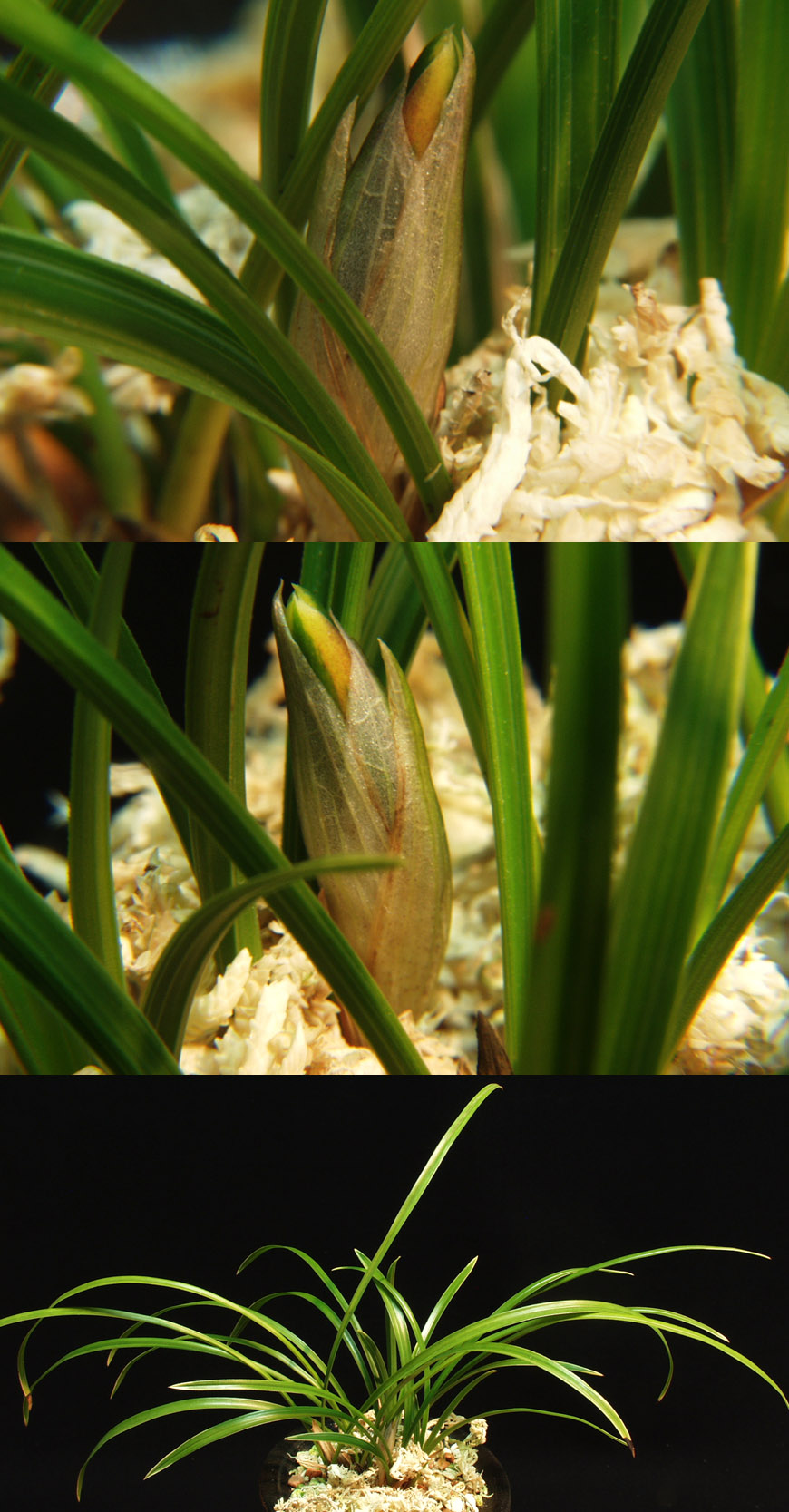 ������ ū������ �� �� �ֽ��ϴ�.