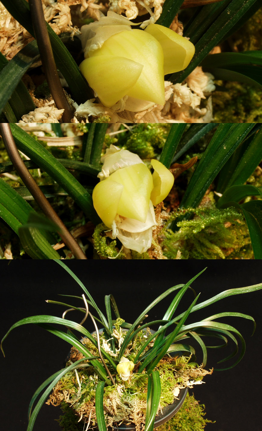 ������ ū������ �� �� �ֽ��ϴ�.