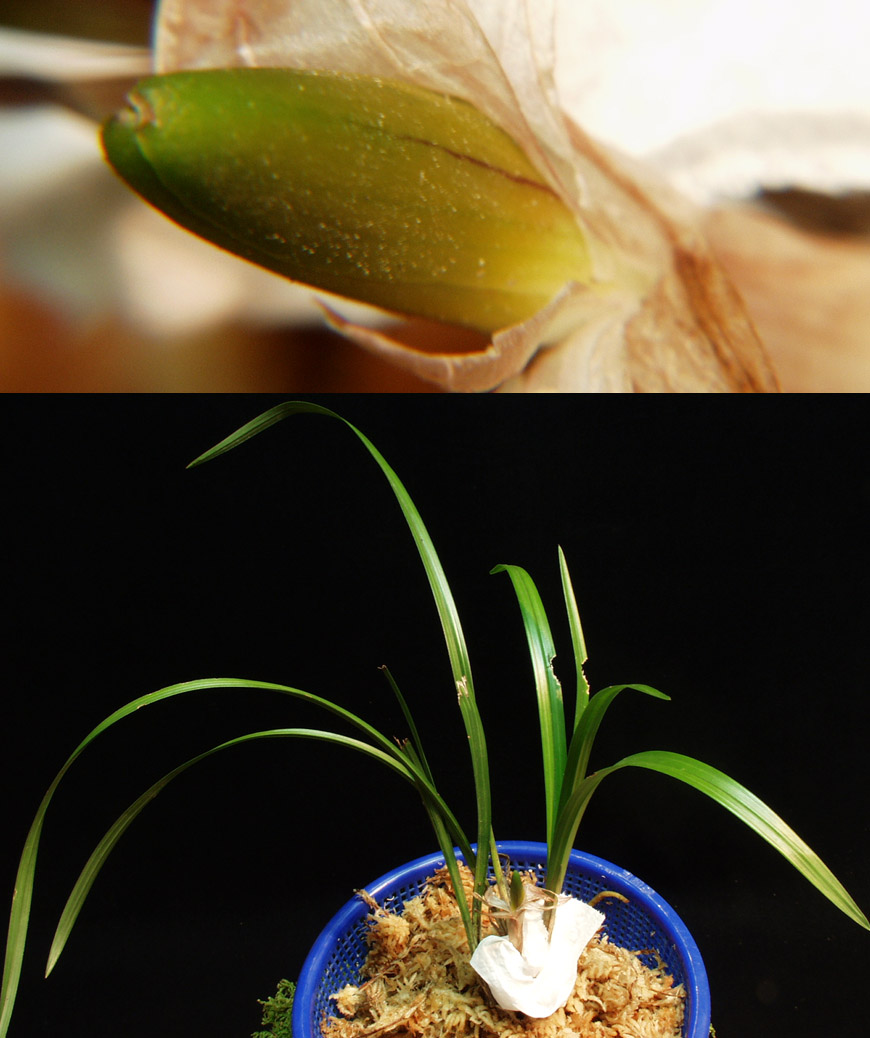 ������ ū������ �� �� �ֽ��ϴ�.