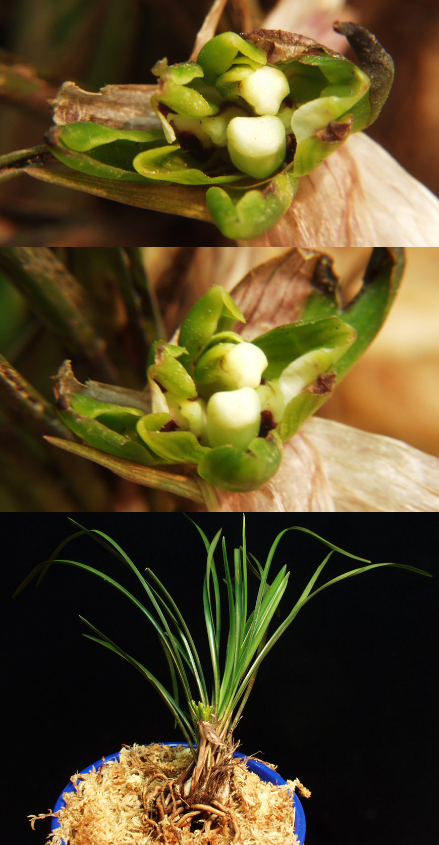 ������ ū������ �� �� �ֽ��ϴ�.