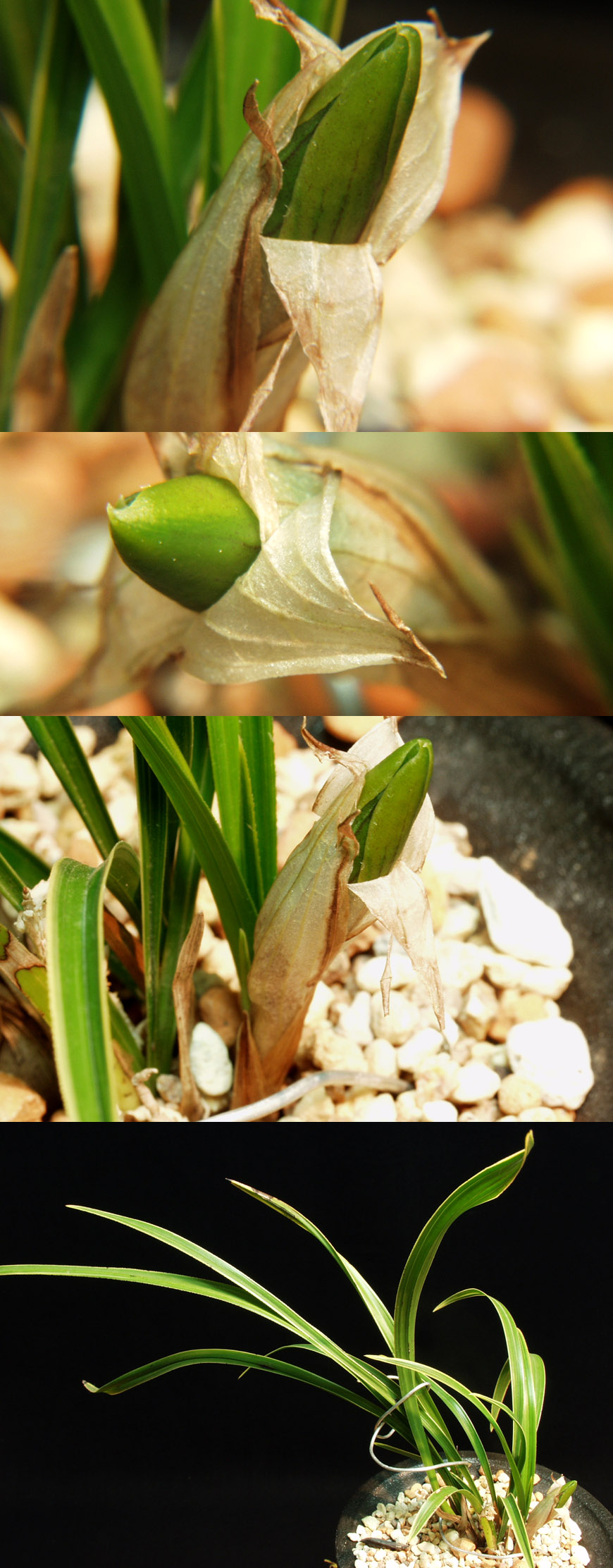 ������ ū������ �� �� �ֽ��ϴ�.