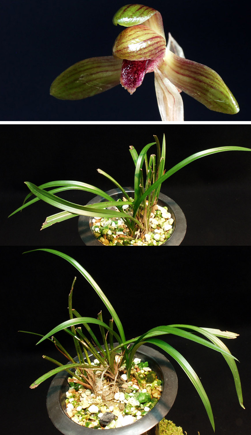 ������ ū������ �� �� �ֽ��ϴ�.