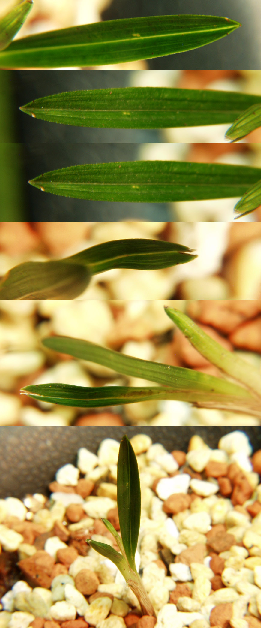 ������ ū������ �� �� �ֽ��ϴ�.