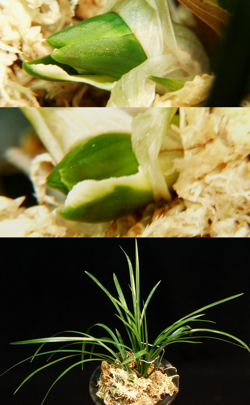 ������ ū������ �� �� �ֽ��ϴ�.