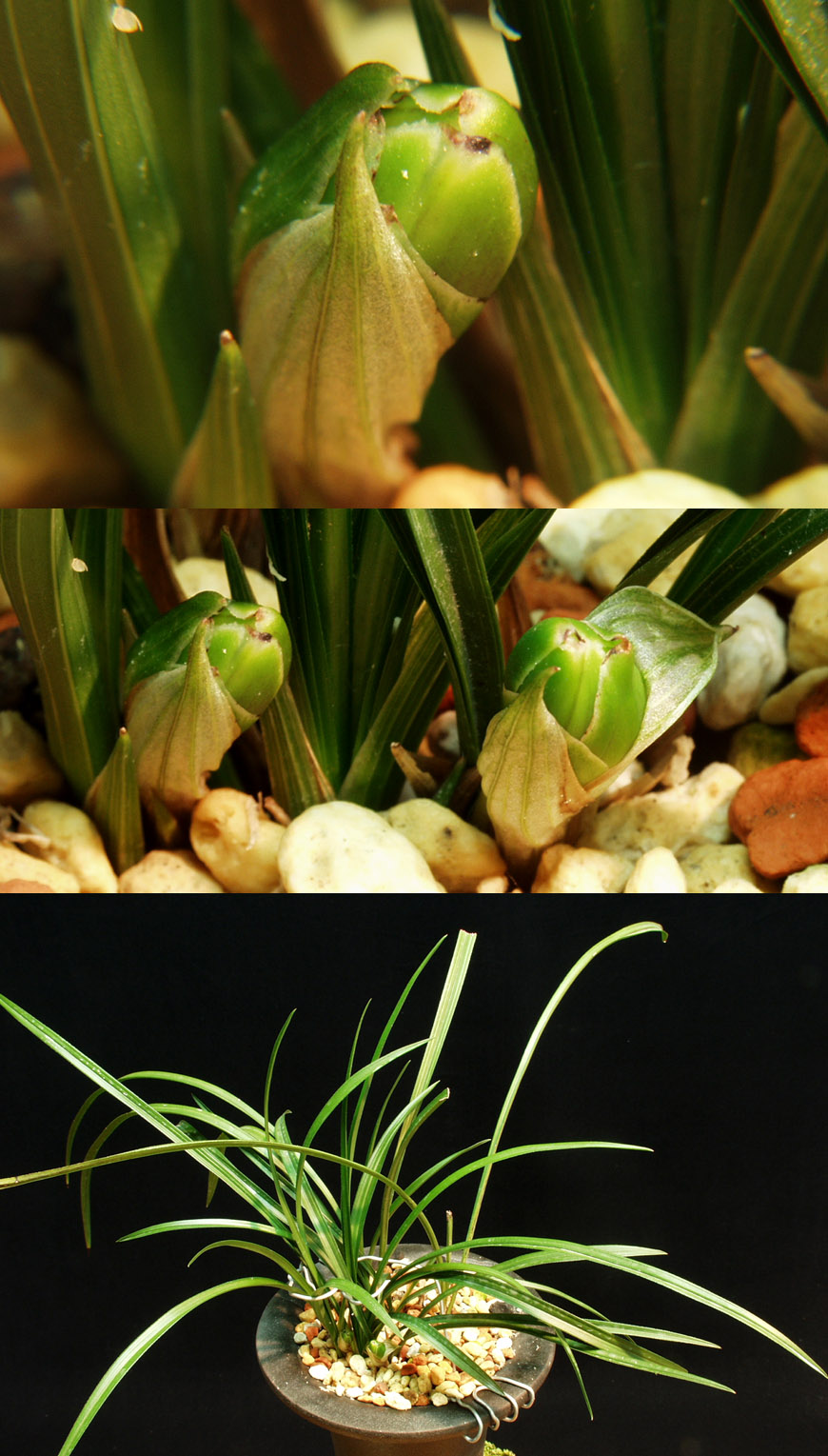 ������ ū������ �� �� �ֽ��ϴ�.