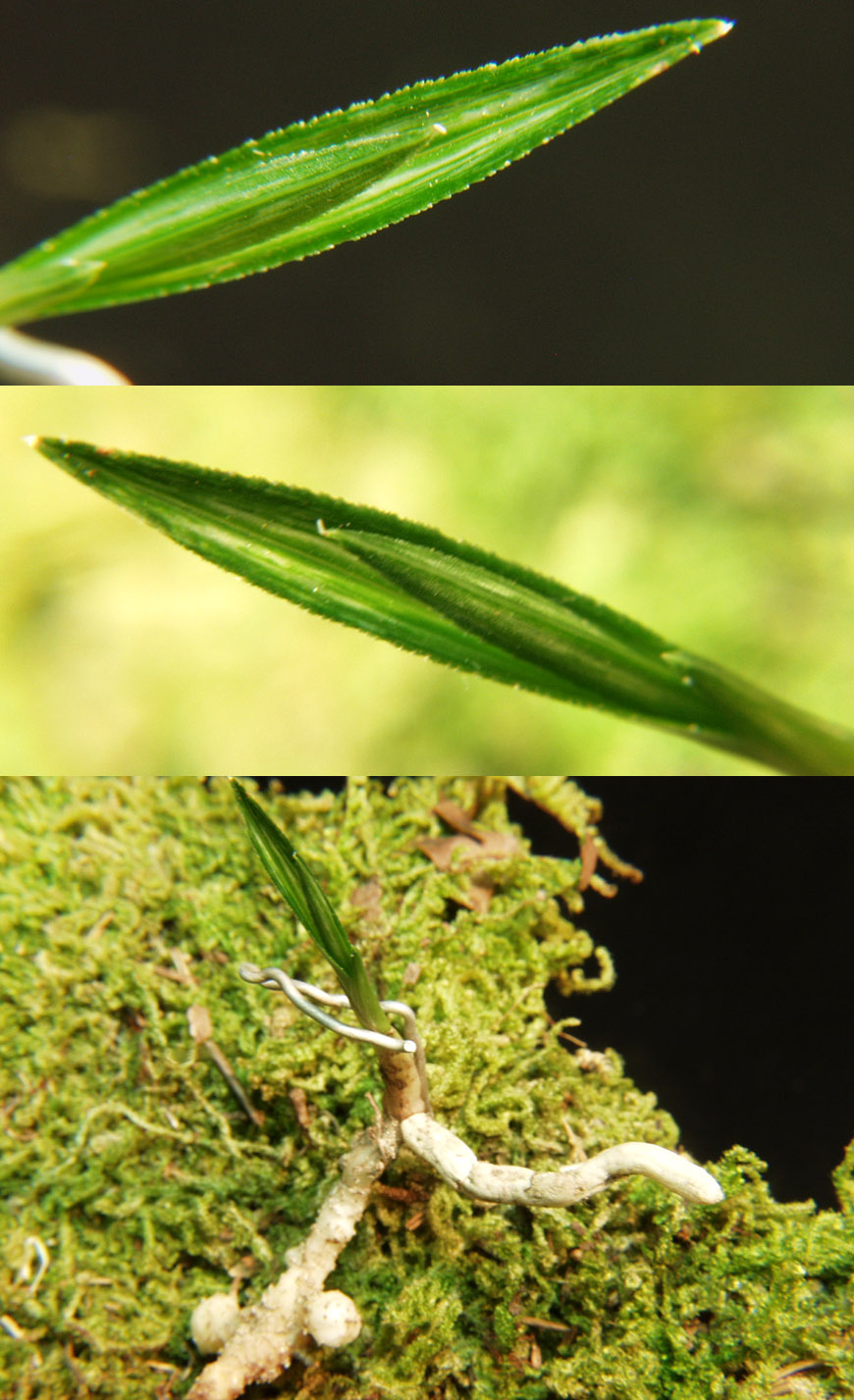 ������ ū������ �� �� �ֽ��ϴ�.