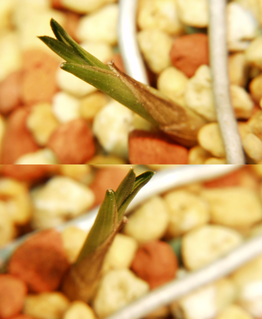 ������ ū������ �� �� �ֽ��ϴ�.