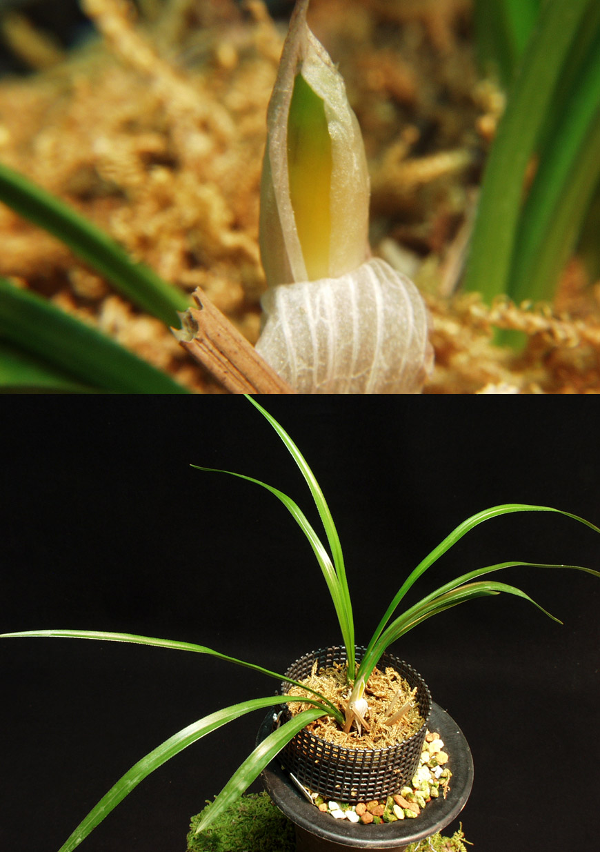 ������ ū������ �� �� �ֽ��ϴ�.