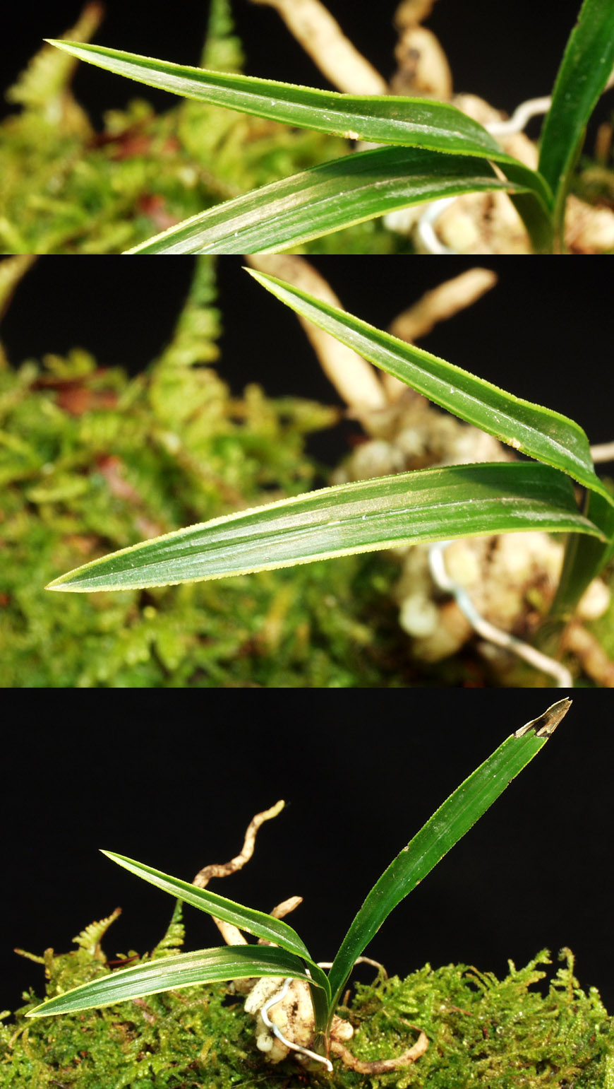 ������ ū������ �� �� �ֽ��ϴ�.