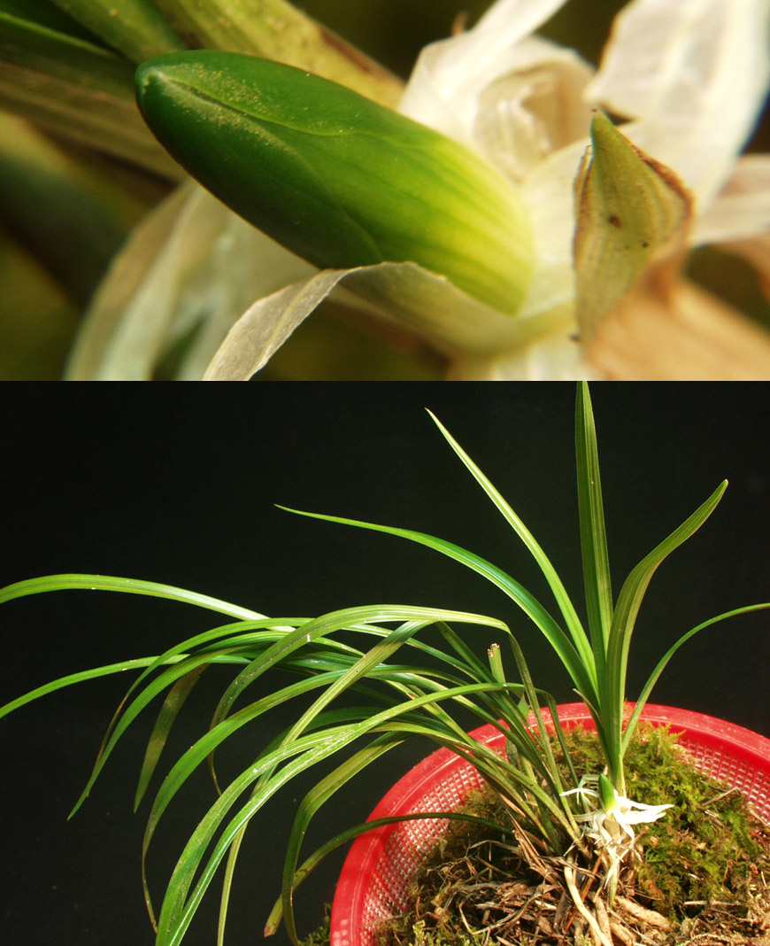 ������ ū������ �� �� �ֽ��ϴ�.