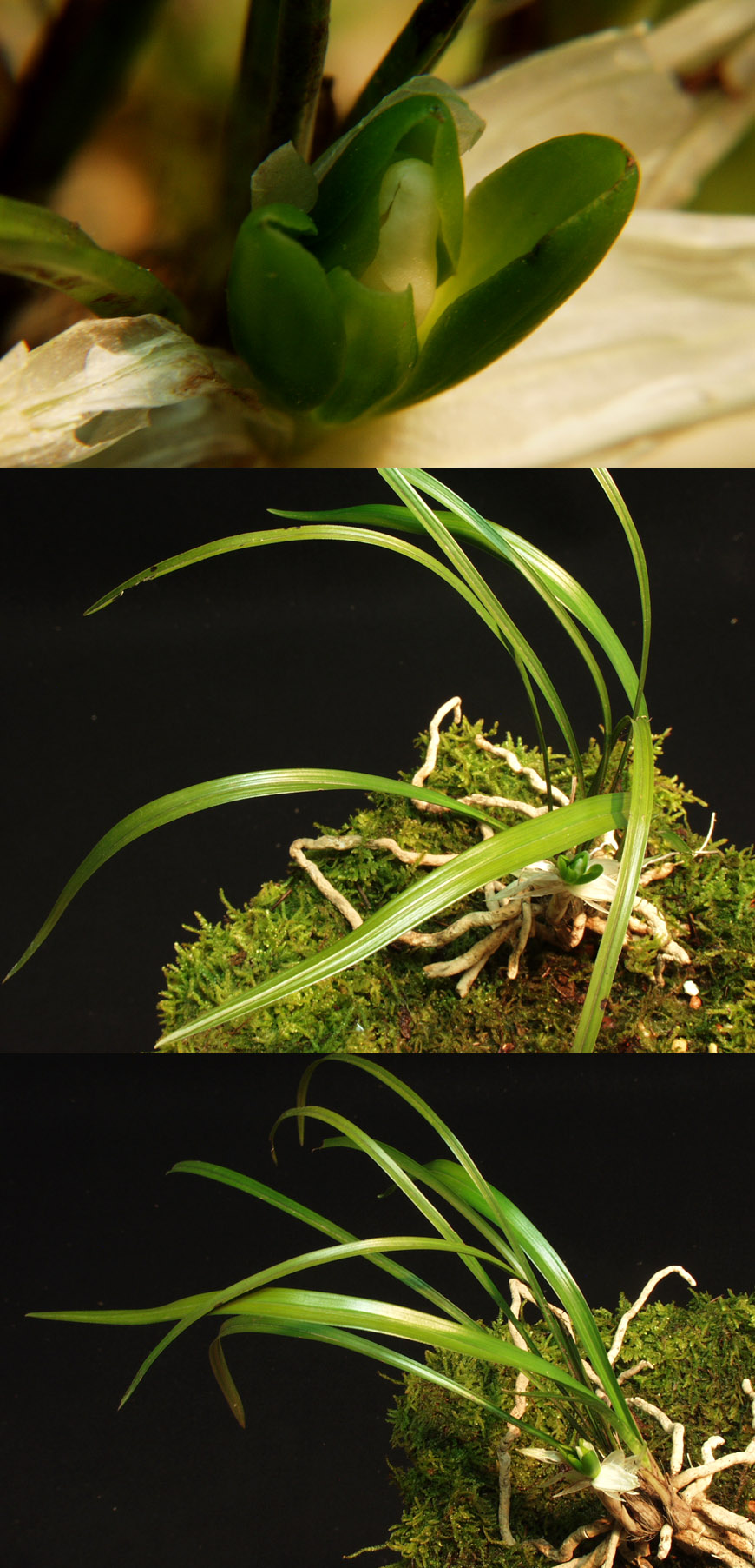 ������ ū������ �� �� �ֽ��ϴ�.