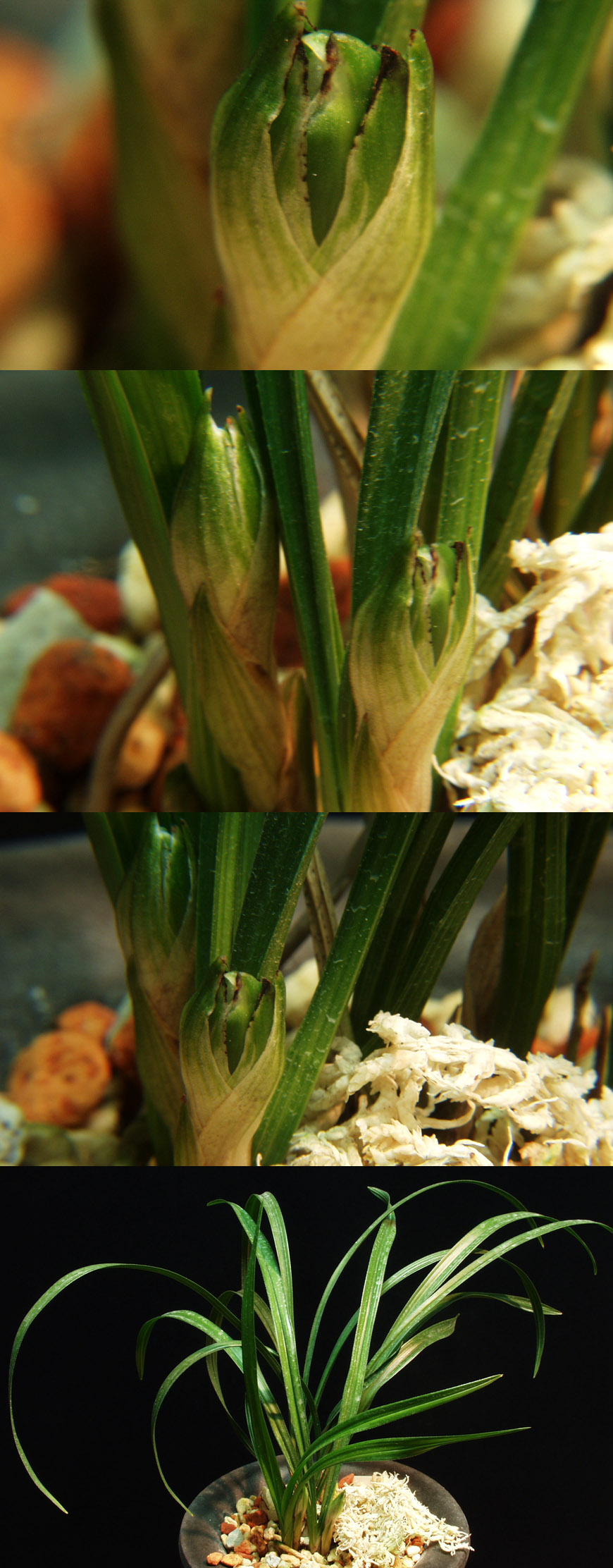 ������ ū������ �� �� �ֽ��ϴ�.