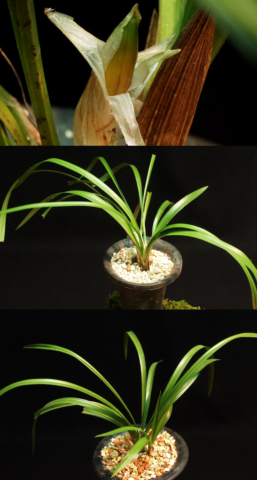 ������ ū������ �� �� �ֽ��ϴ�.