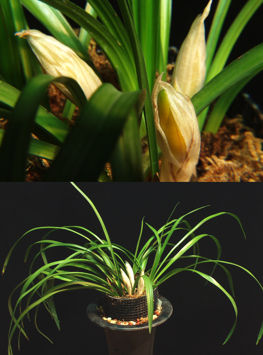 ������ ū������ �� �� �ֽ��ϴ�.