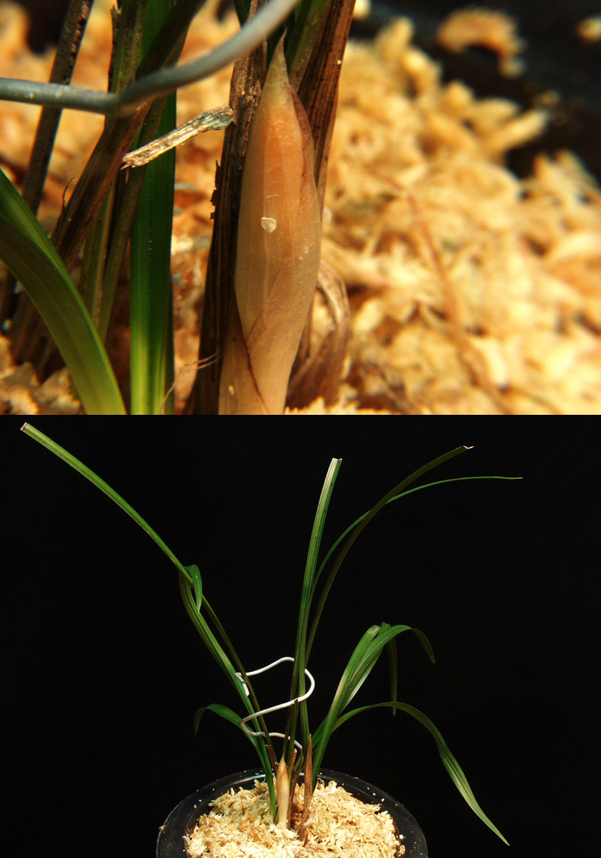 ������ ū������ �� �� �ֽ��ϴ�.