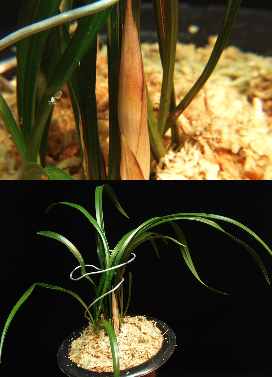 ������ ū������ �� �� �ֽ��ϴ�.