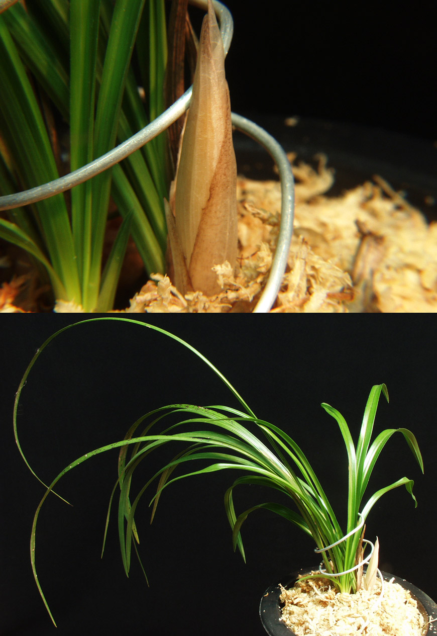 ������ ū������ �� �� �ֽ��ϴ�.