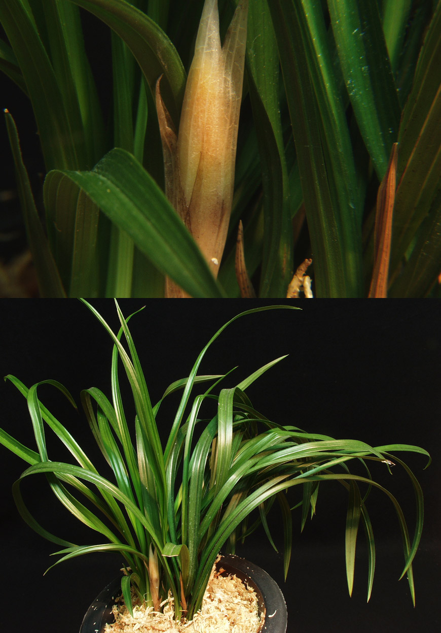 ������ ū������ �� �� �ֽ��ϴ�.