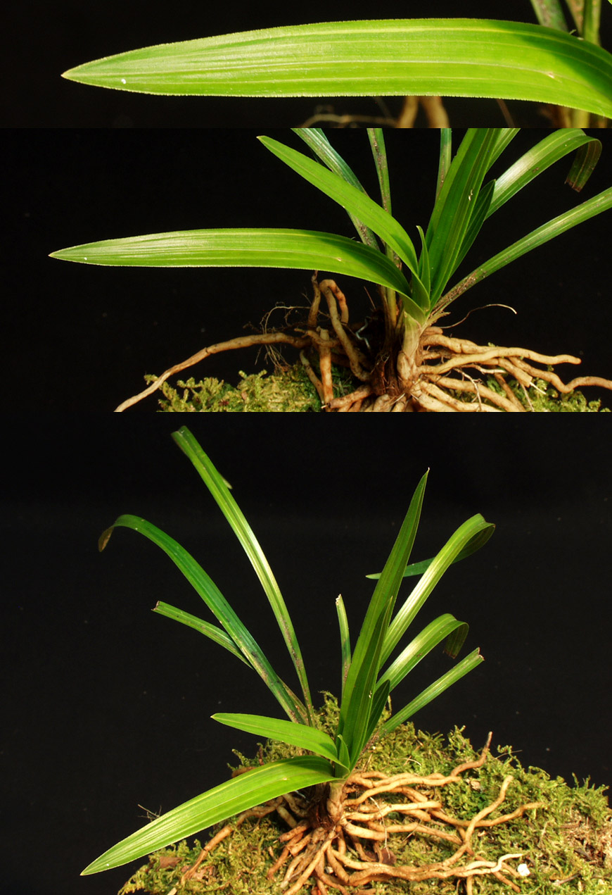 ������ ū������ �� �� �ֽ��ϴ�.