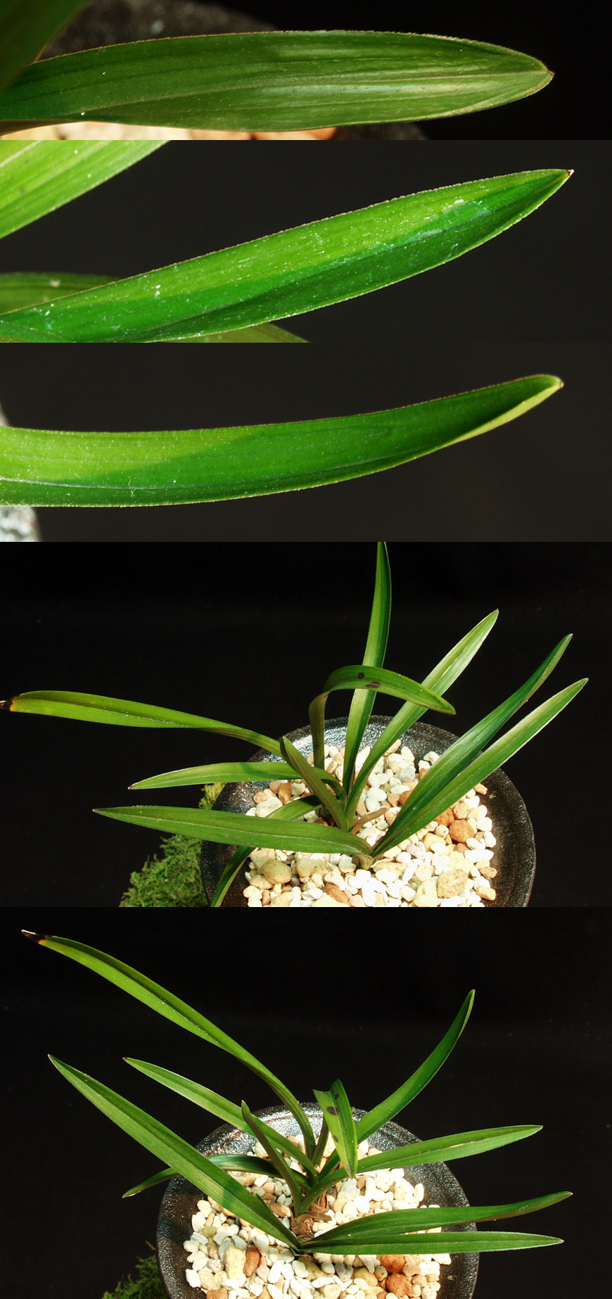 ������ ū������ �� �� �ֽ��ϴ�.