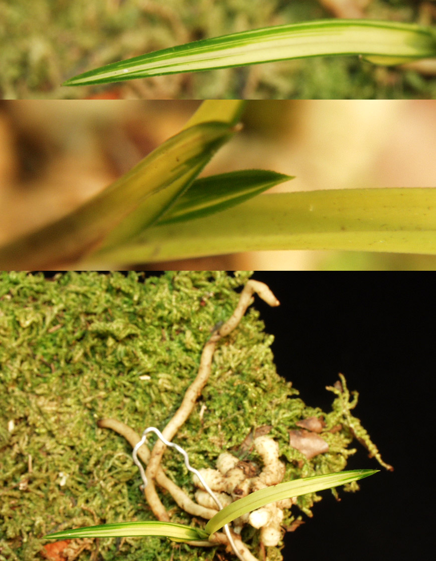 ������ ū������ �� �� �ֽ��ϴ�.