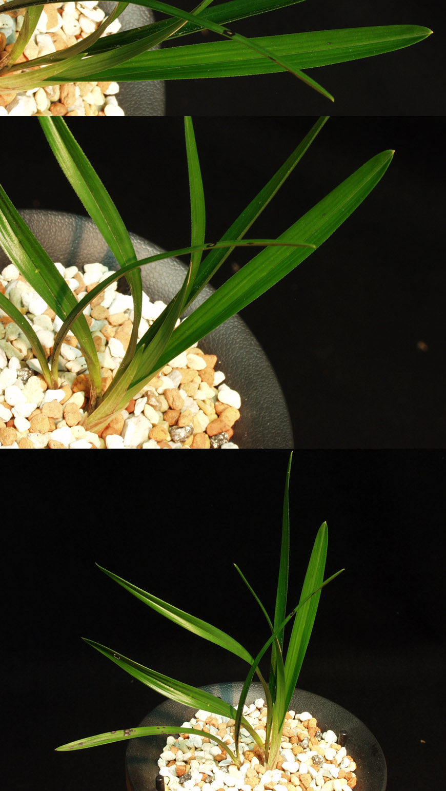 ������ ū������ �� �� �ֽ��ϴ�.