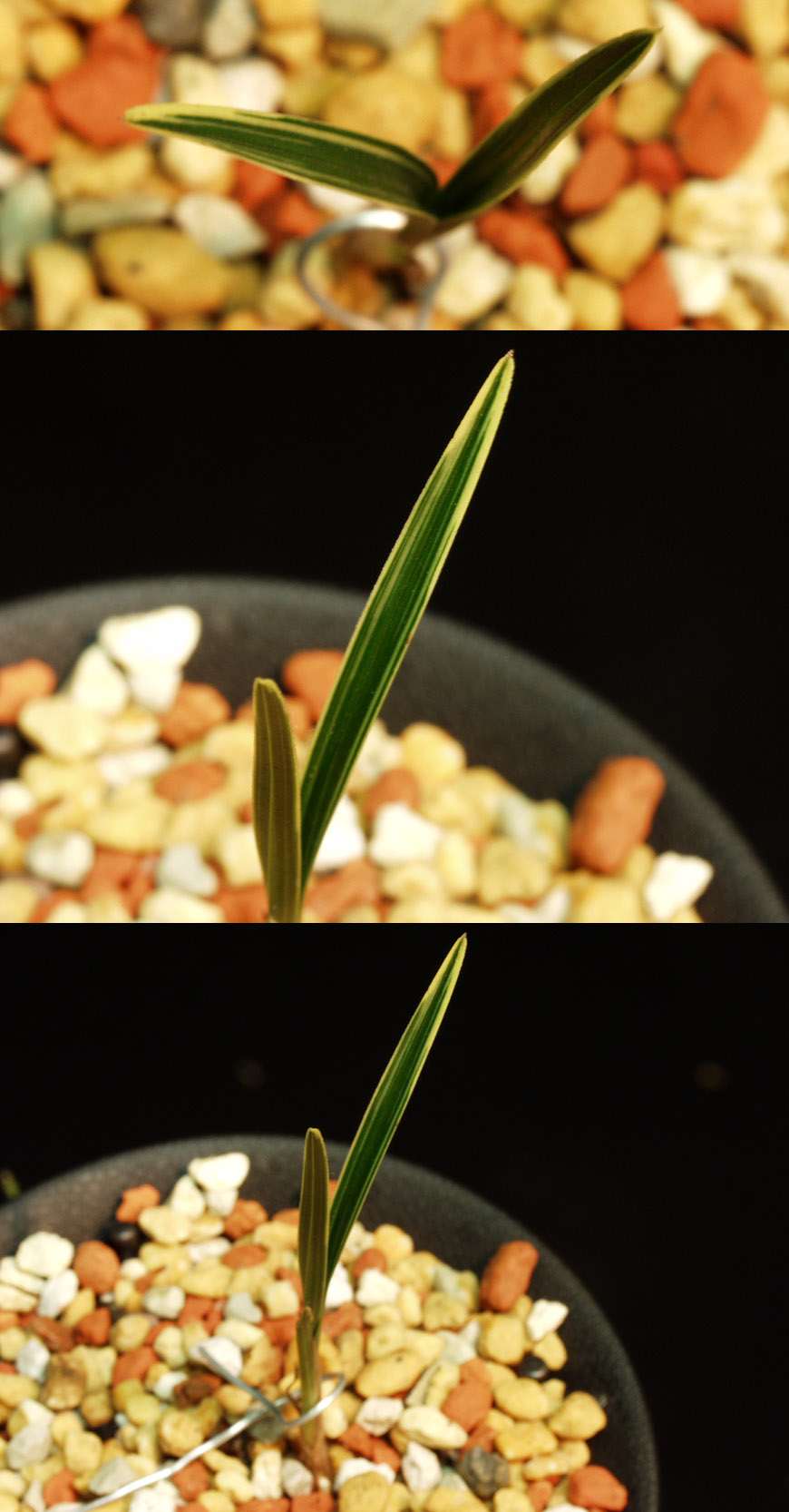 ������ ū������ �� �� �ֽ��ϴ�.