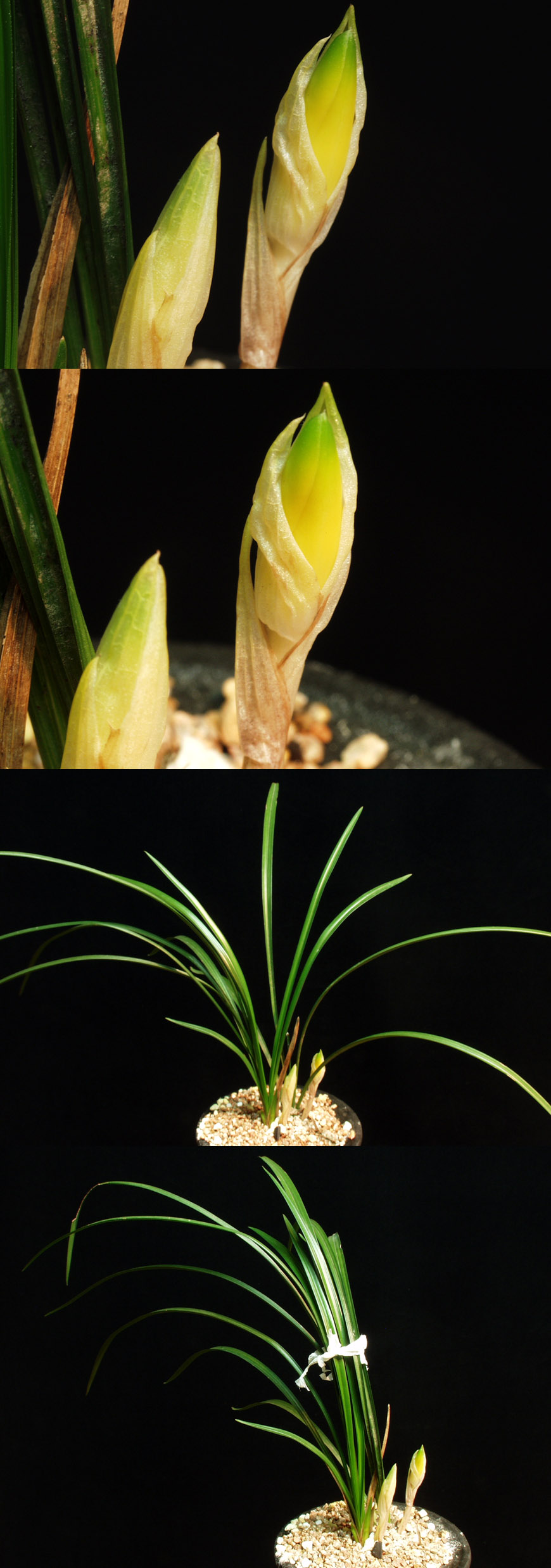 ������ ū������ �� �� �ֽ��ϴ�.