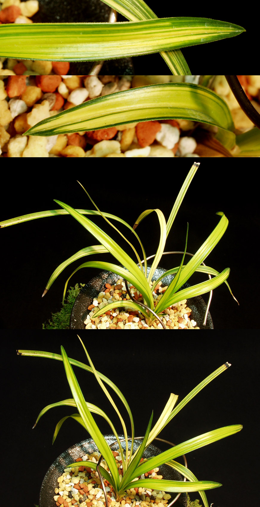 ������ ū������ �� �� �ֽ��ϴ�.