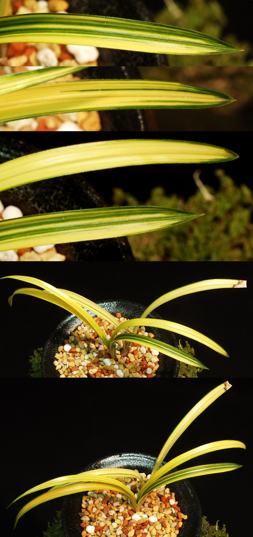 ������ ū������ �� �� �ֽ��ϴ�.