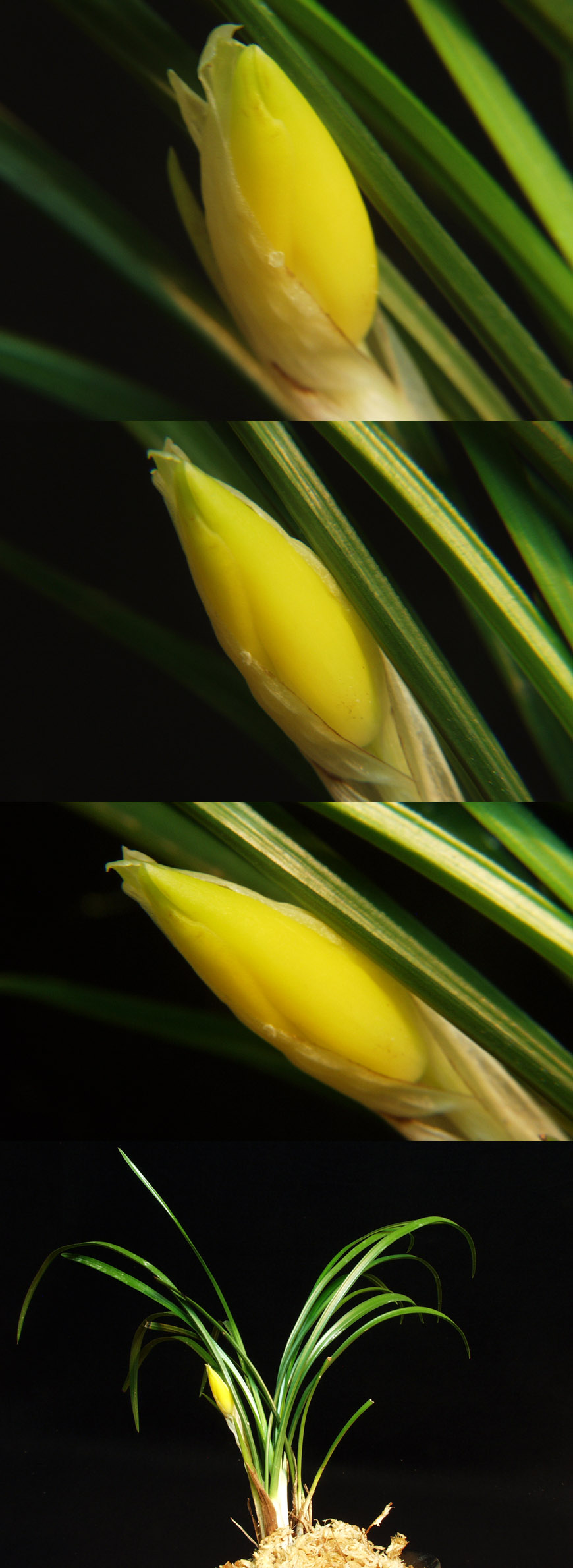 ������ ū������ �� �� �ֽ��ϴ�.