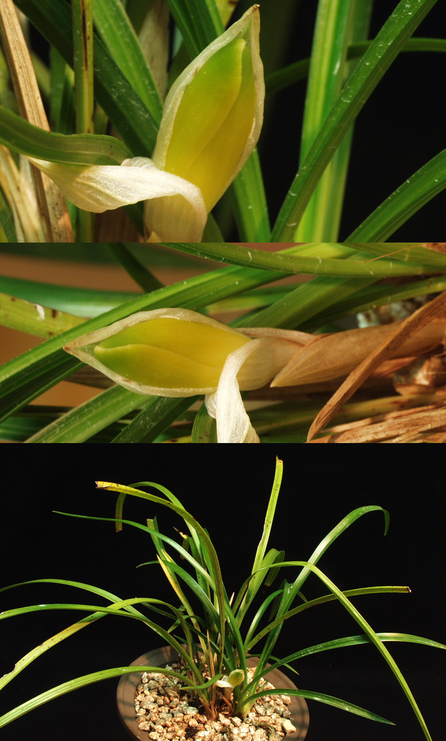 ������ ū������ �� �� �ֽ��ϴ�.