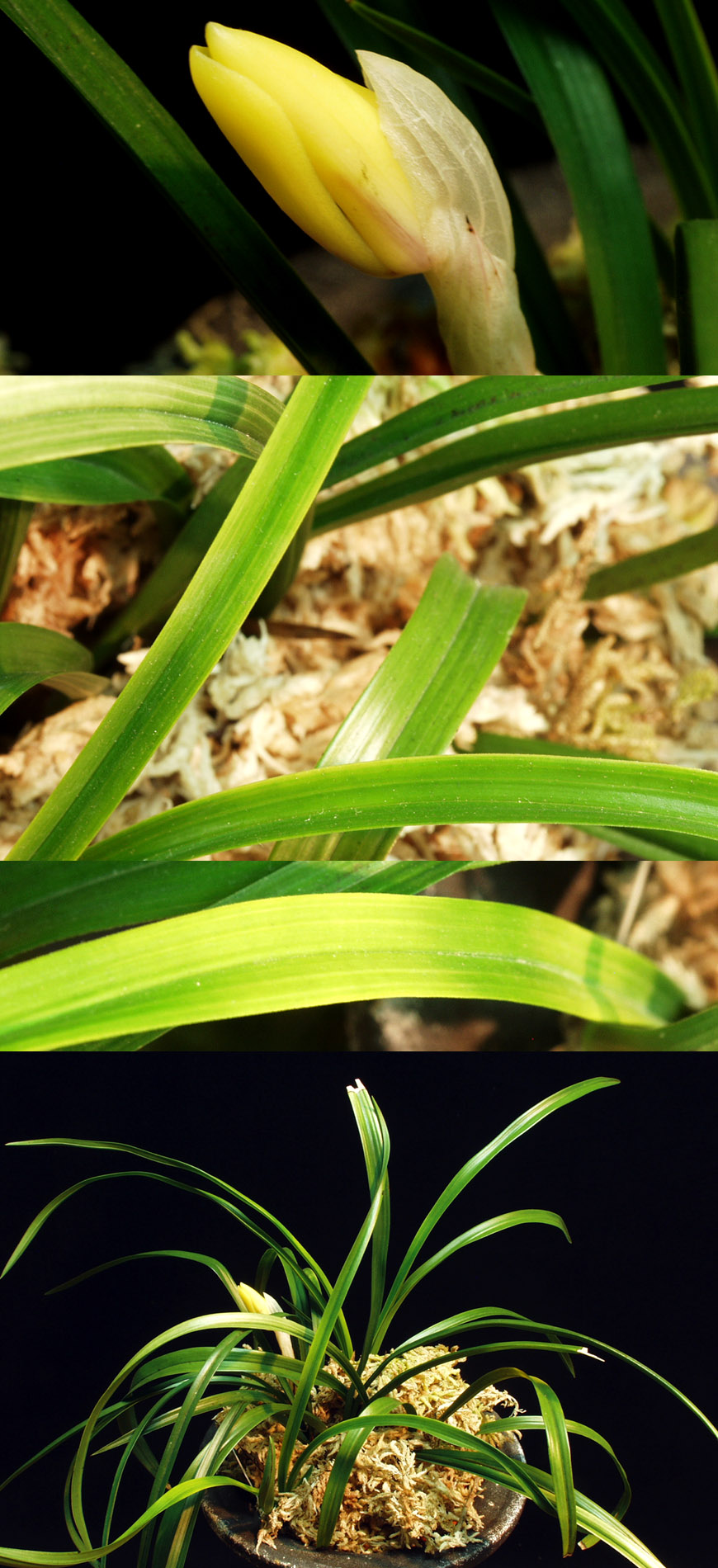 ������ ū������ �� �� �ֽ��ϴ�.