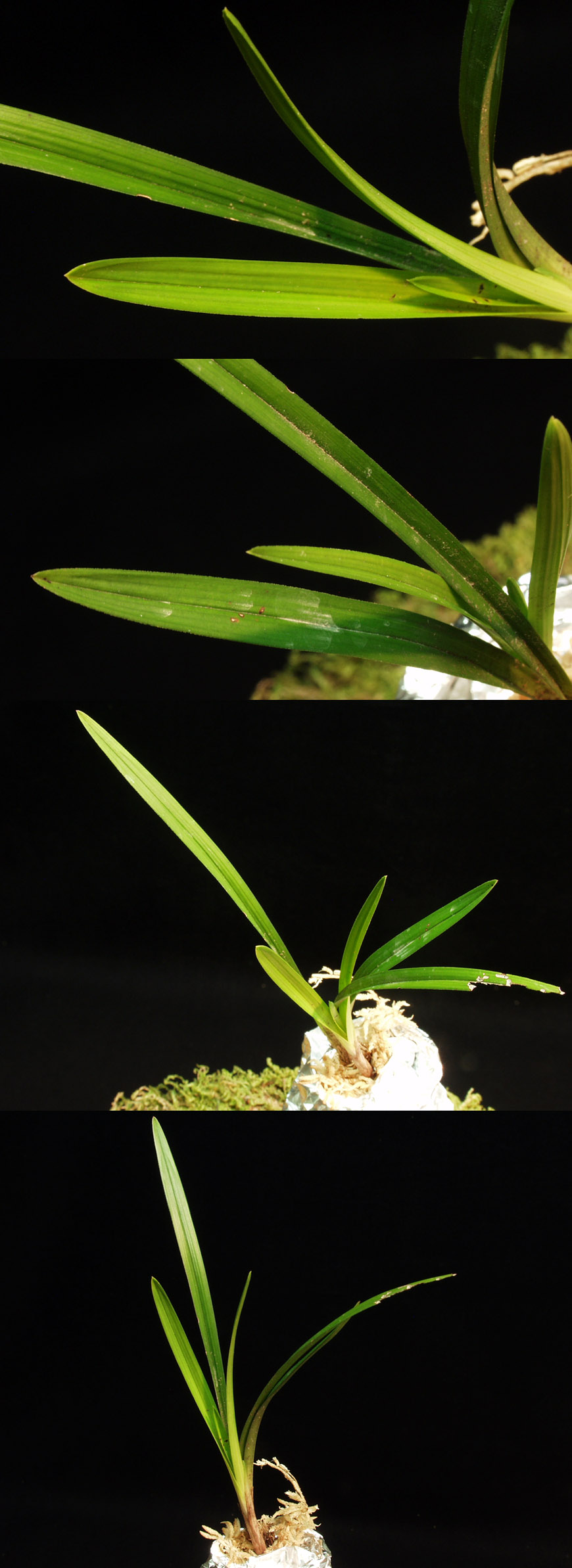 ������ ū������ �� �� �ֽ��ϴ�.