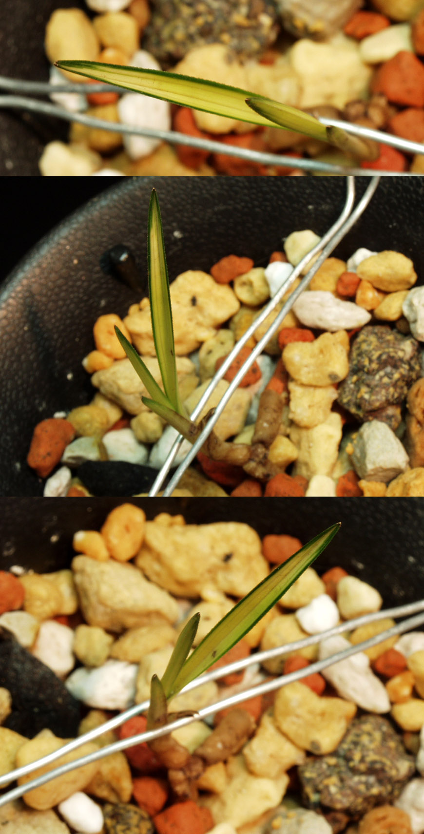 ������ ū������ �� �� �ֽ��ϴ�.