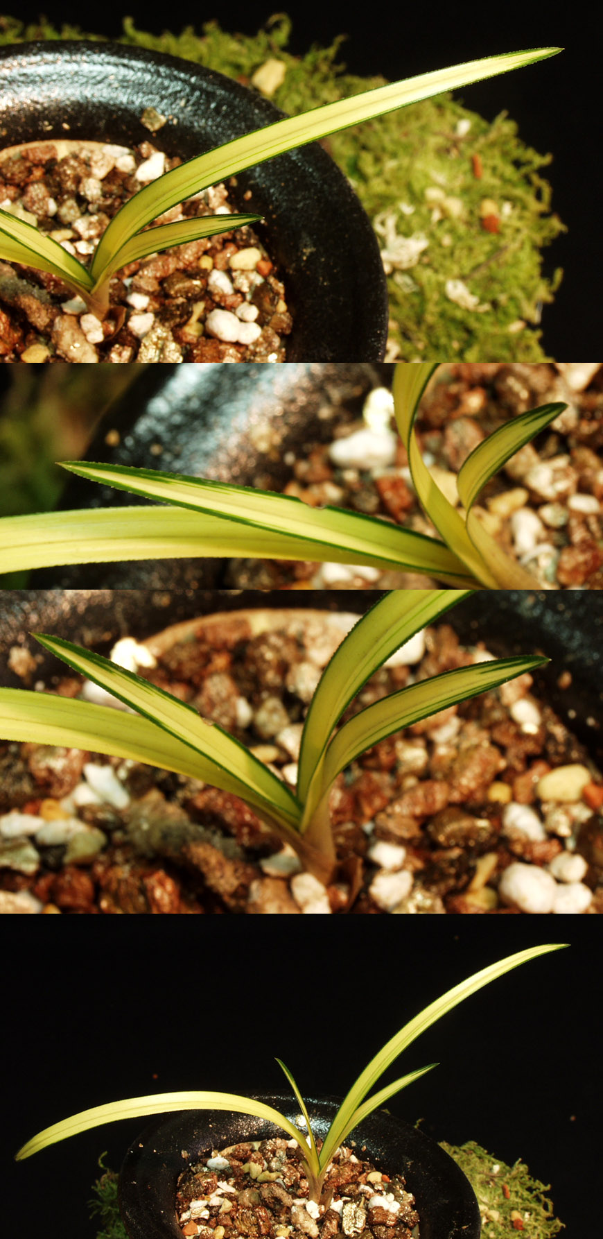 ������ ū������ �� �� �ֽ��ϴ�.