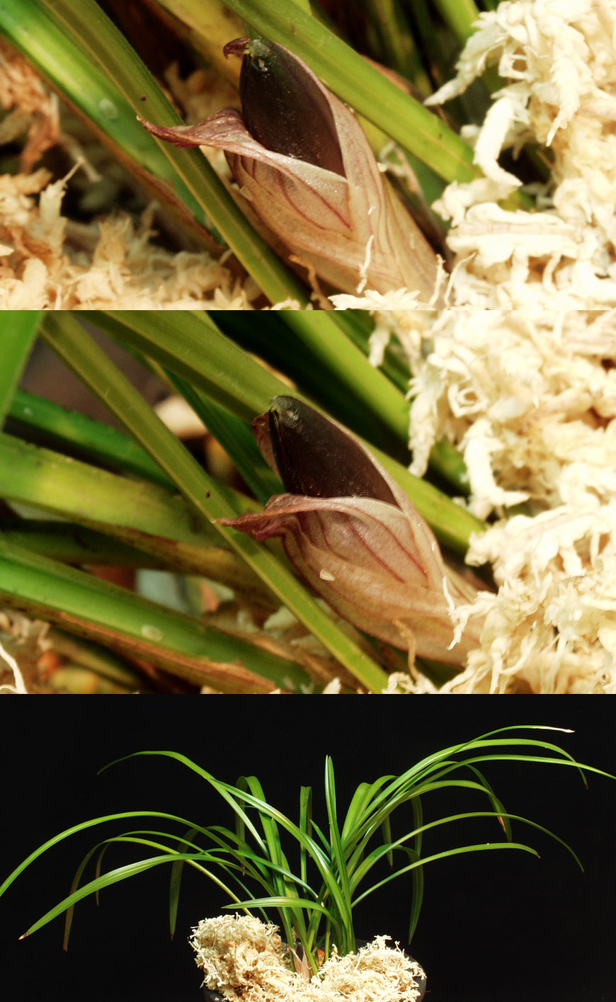 ������ ū������ �� �� �ֽ��ϴ�.