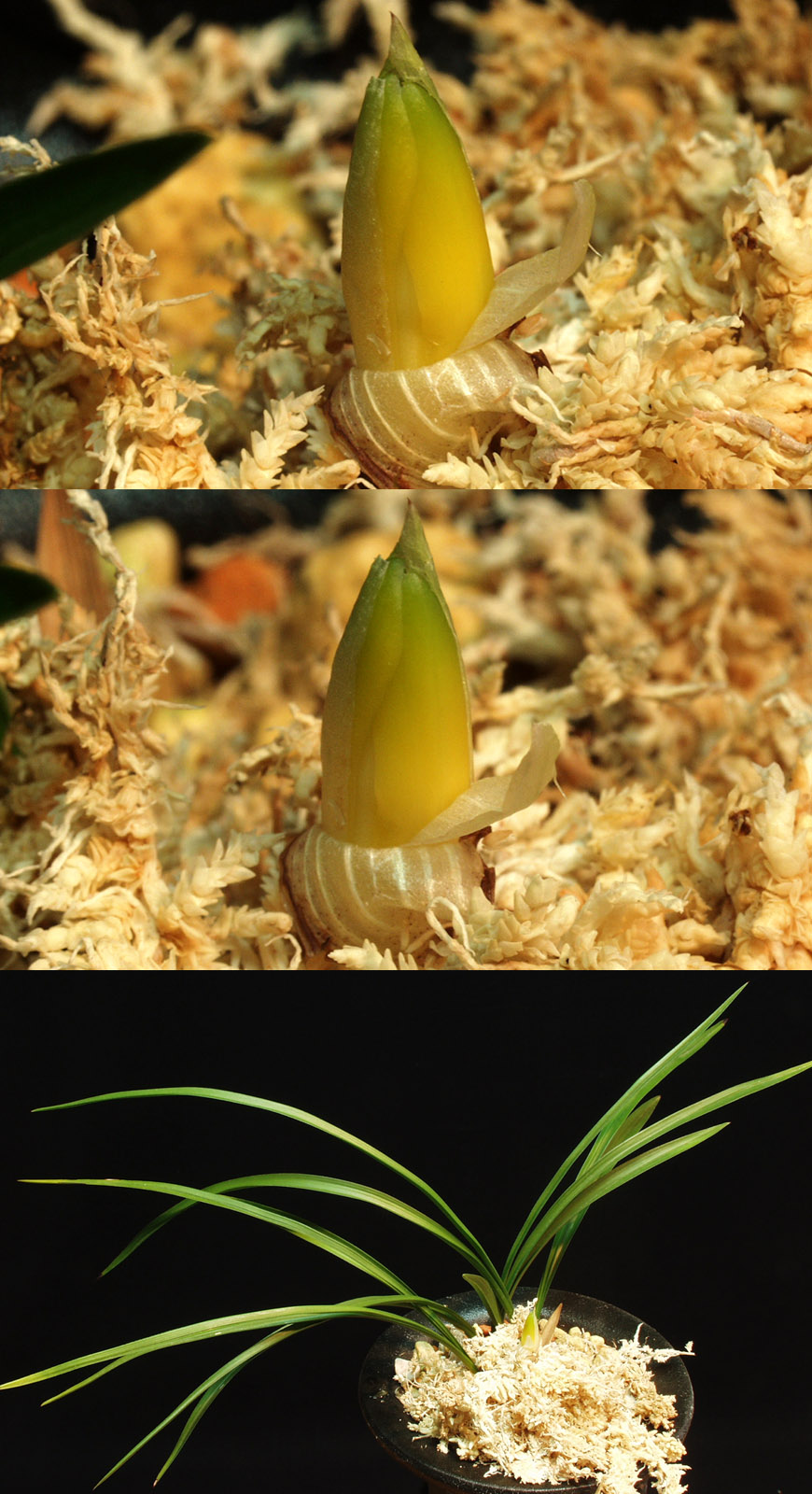 ������ ū������ �� �� �ֽ��ϴ�.