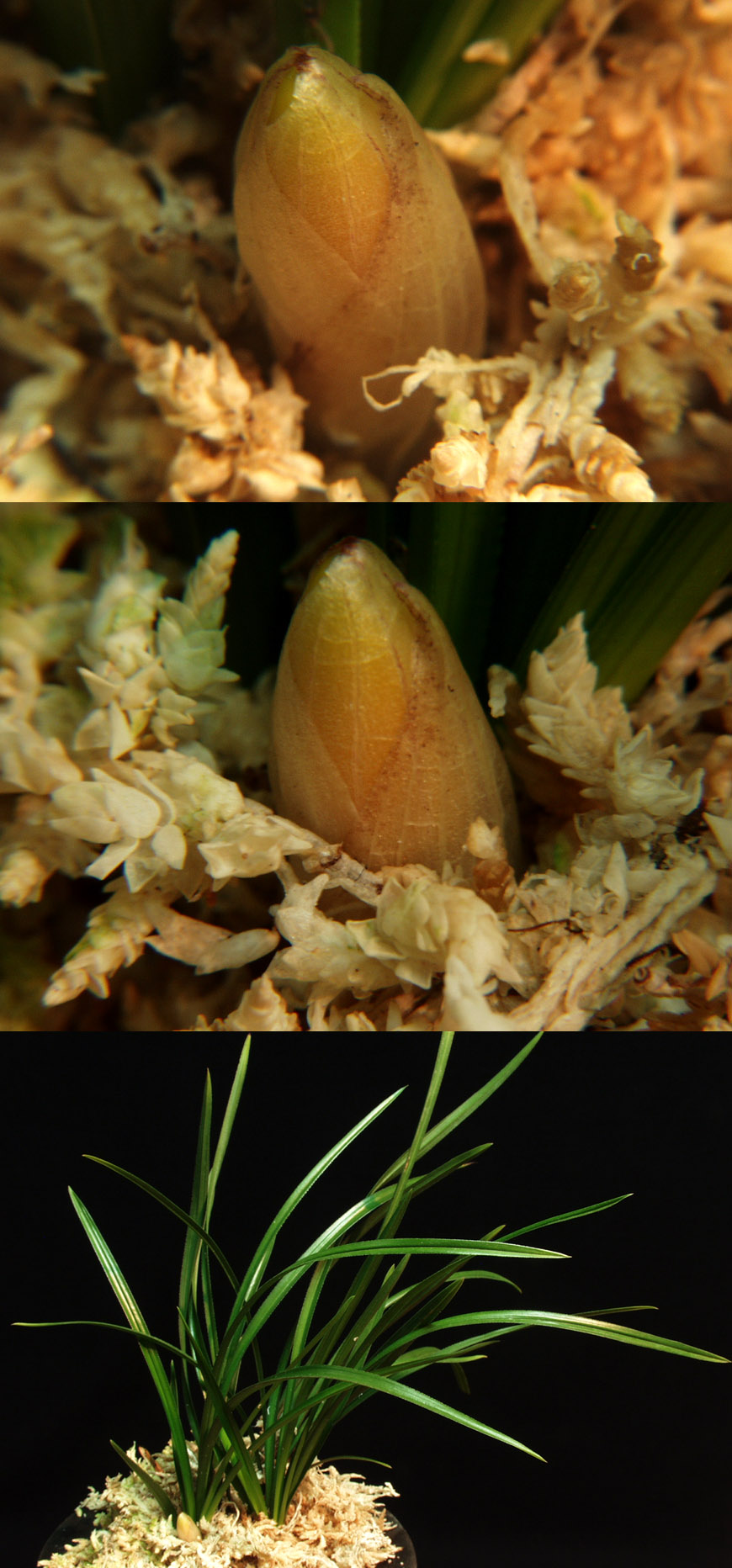 ������ ū������ �� �� �ֽ��ϴ�.