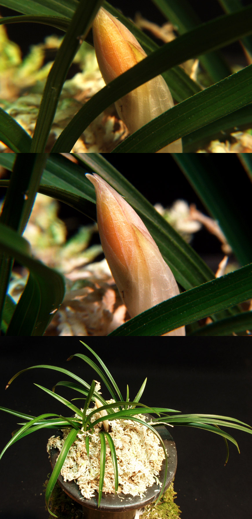 ������ ū������ �� �� �ֽ��ϴ�.