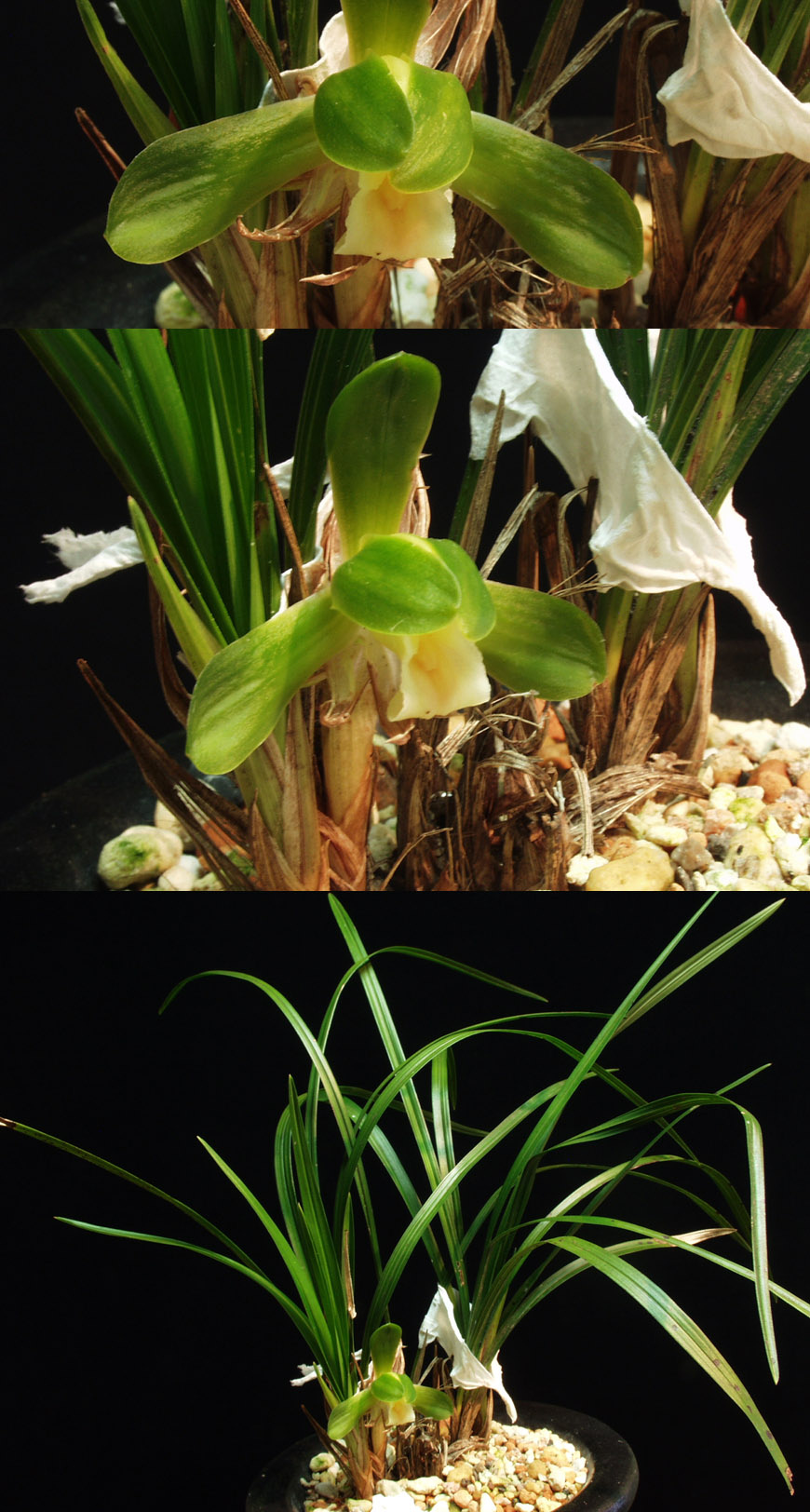 ������ ū������ �� �� �ֽ��ϴ�.