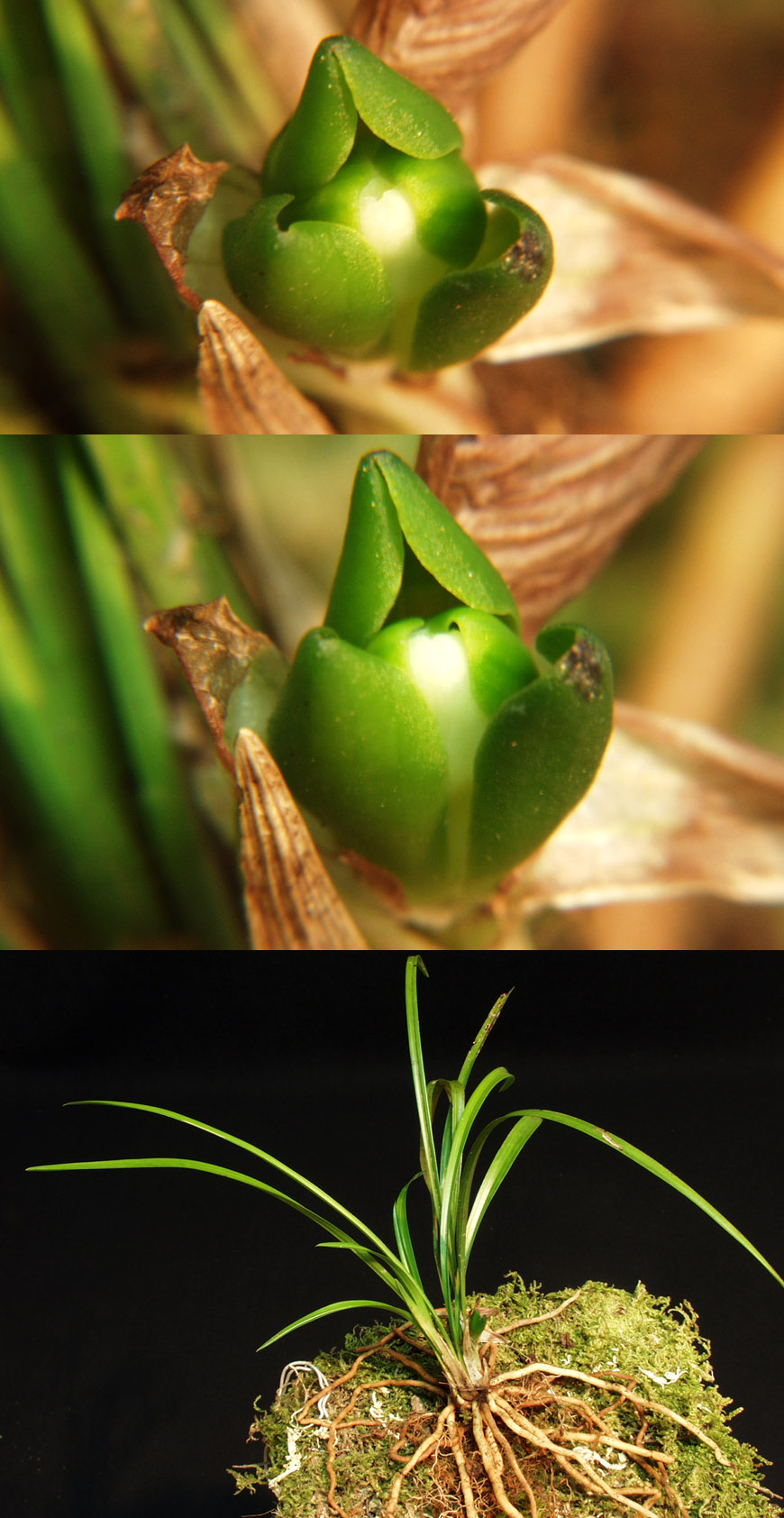 ������ ū������ �� �� �ֽ��ϴ�.