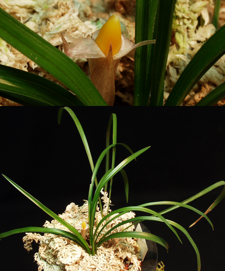 ������ ū������ �� �� �ֽ��ϴ�.