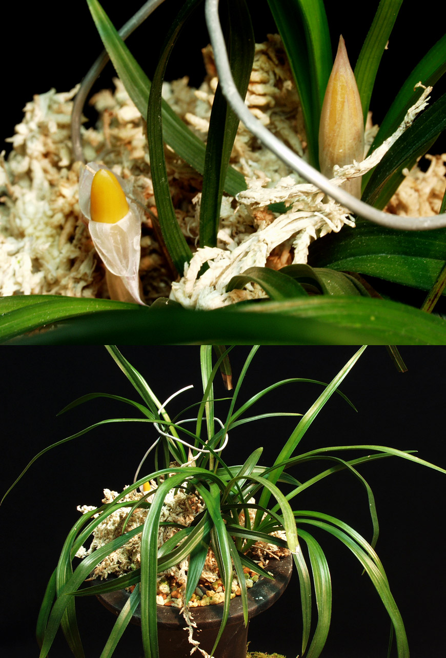 ������ ū������ �� �� �ֽ��ϴ�.