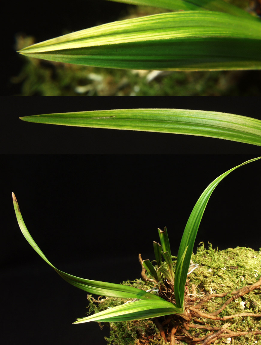 ������ ū������ �� �� �ֽ��ϴ�.